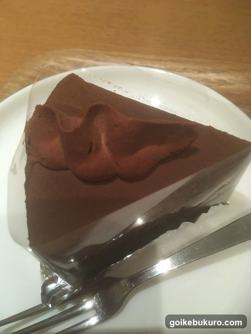 Chocolate Cake Slice