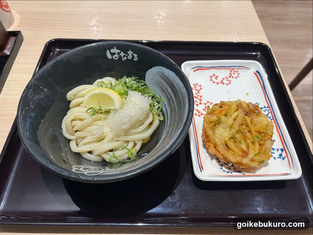 Udon Noodle Bowl with Side Dish