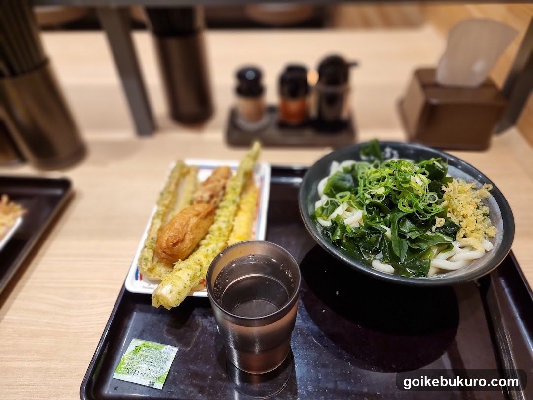 Udon Meal with Tempura