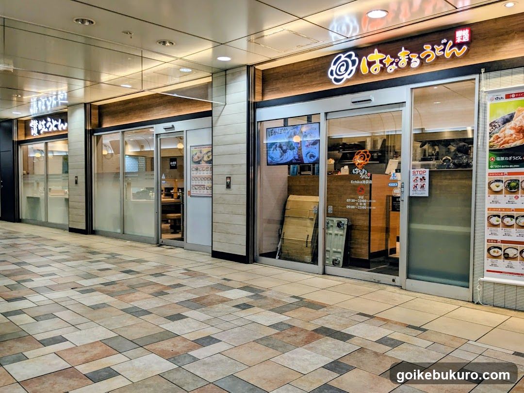 Hanamaru Udon