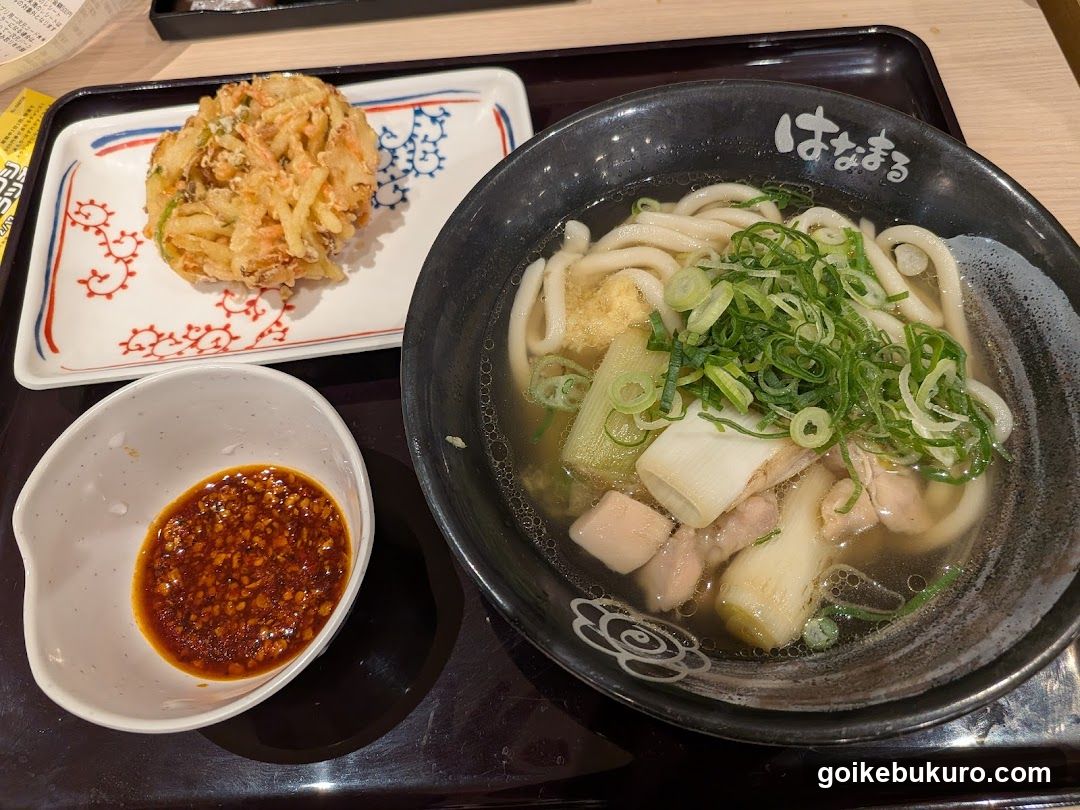 Udon Noodle Bowl with Side Dishes
