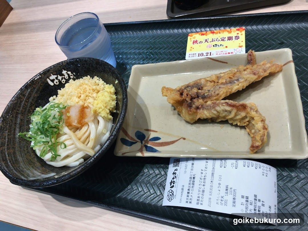 Udon Meal with Tempura