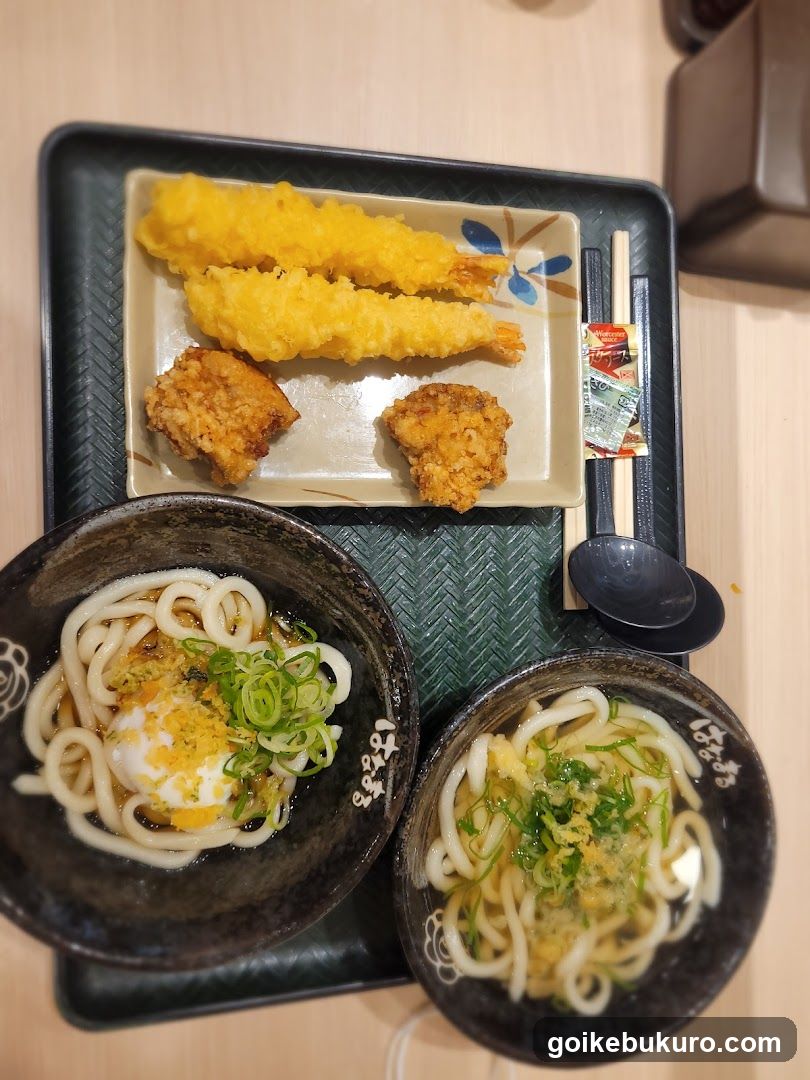 Udon Meal with Tempura