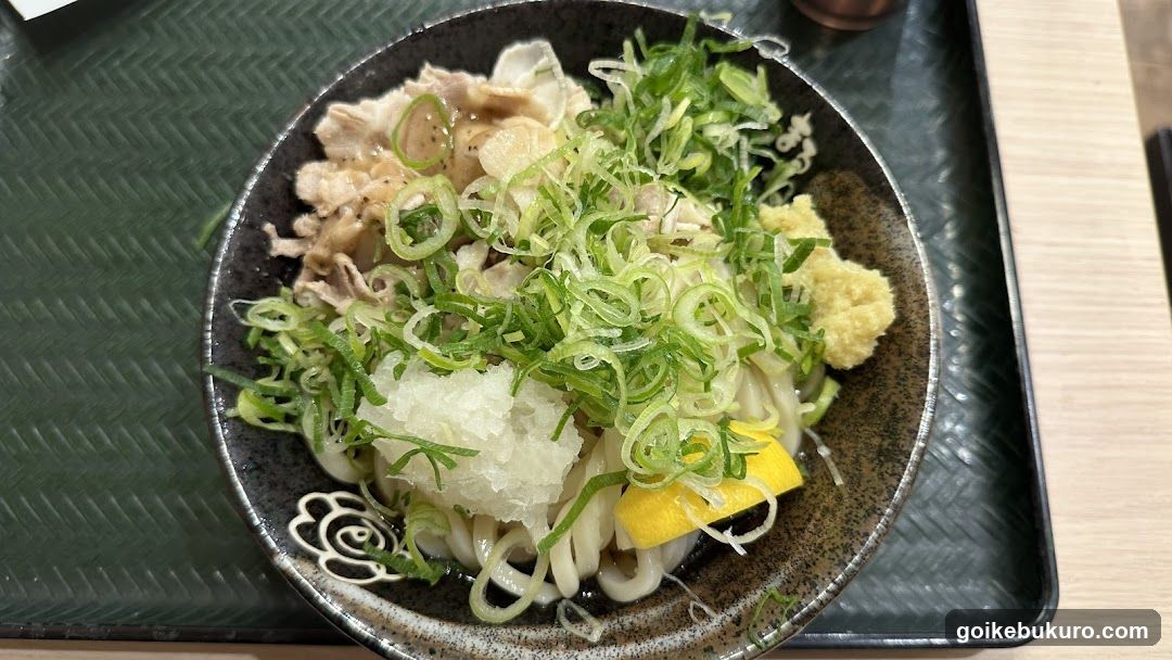 Udon Noodle Bowl with Toppings