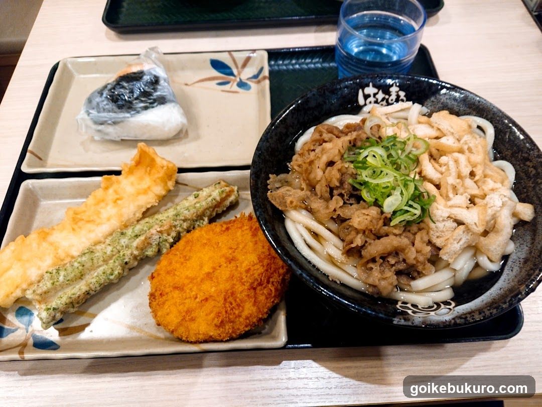 Udon Meal with Tempura and Fried Cutlet