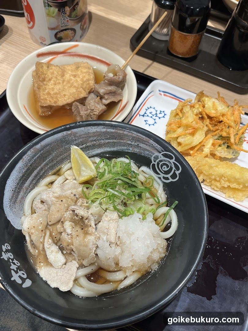 Japanese Udon Meal with Tempura and Soup