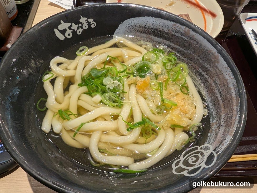 Udon Noodle Bowl