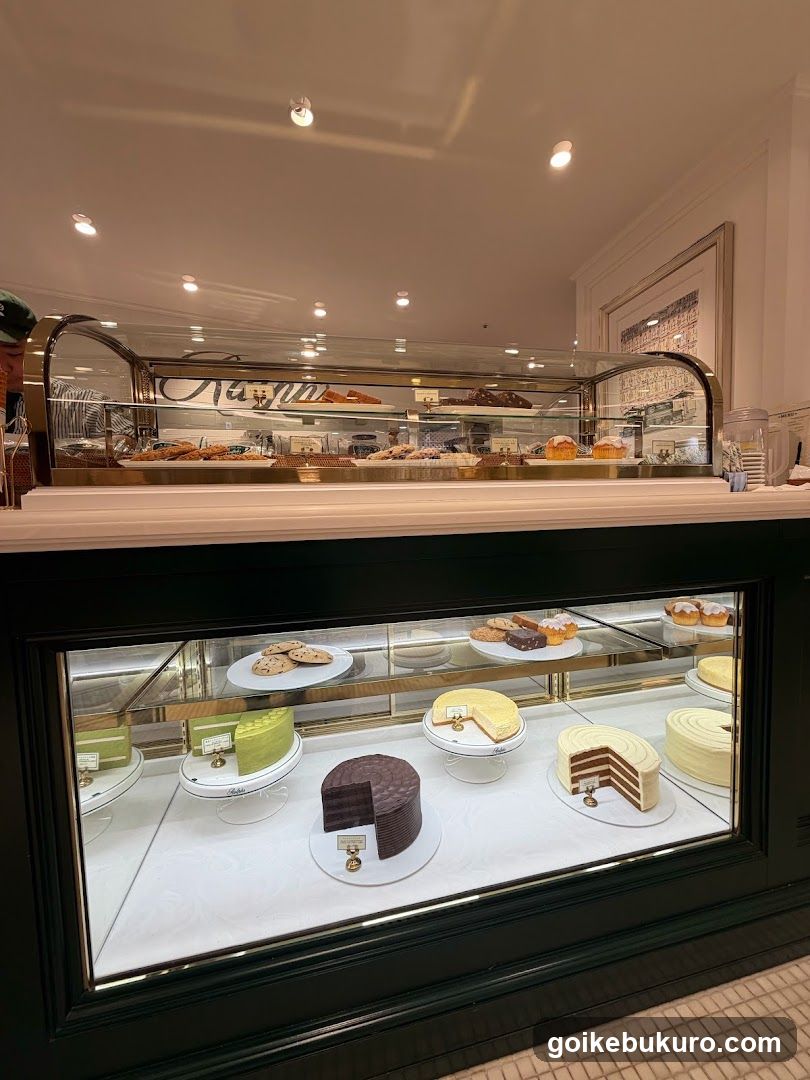 Pastry Display Case