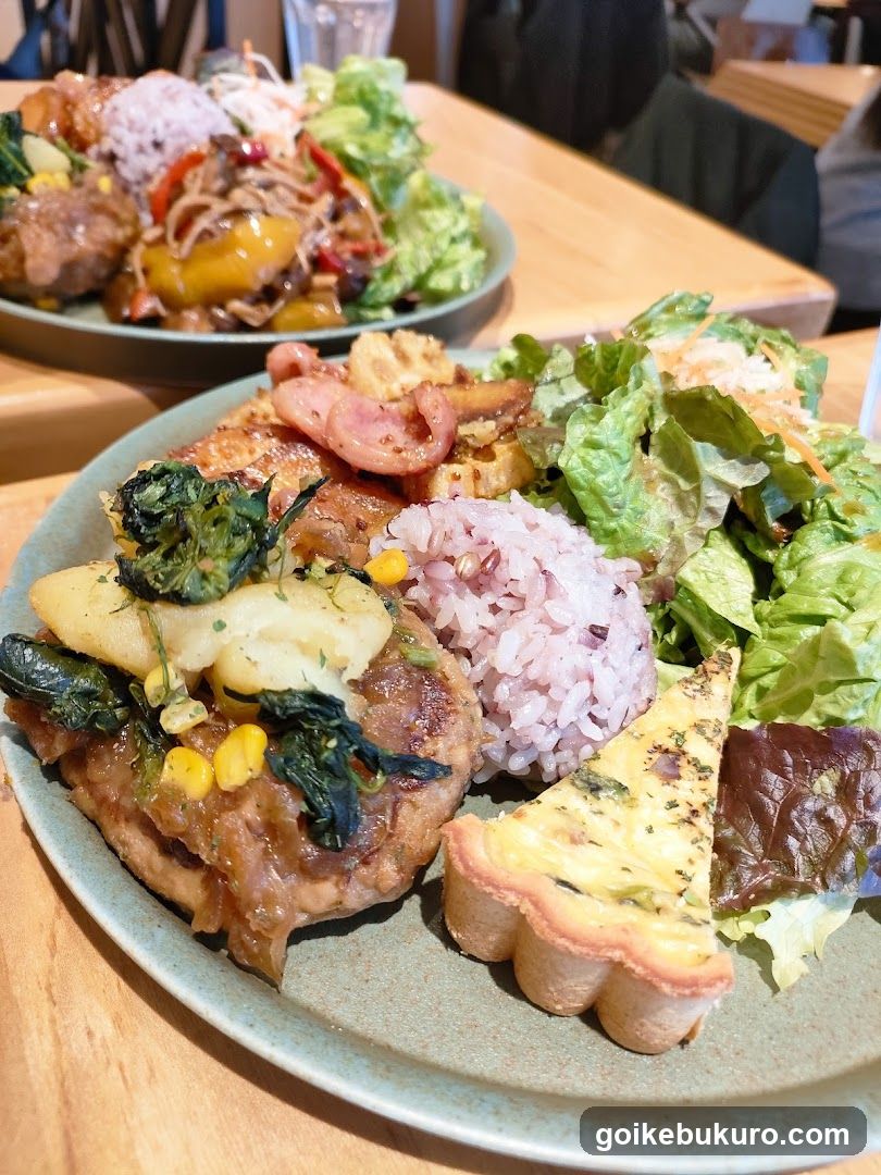 Food Plate with Rice and Salad