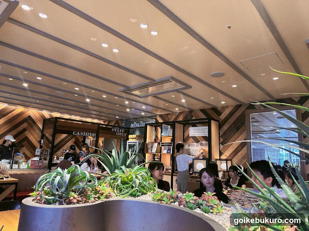 Interior of a modern cafe or restaurant with wooden decor and succulents