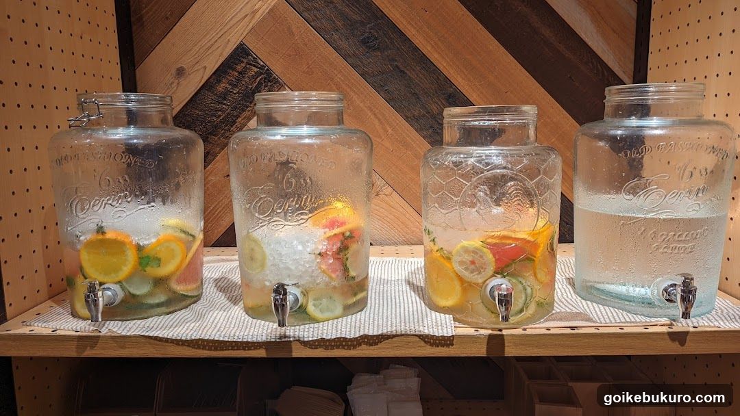 Glass Drink Dispensers with Infused Water