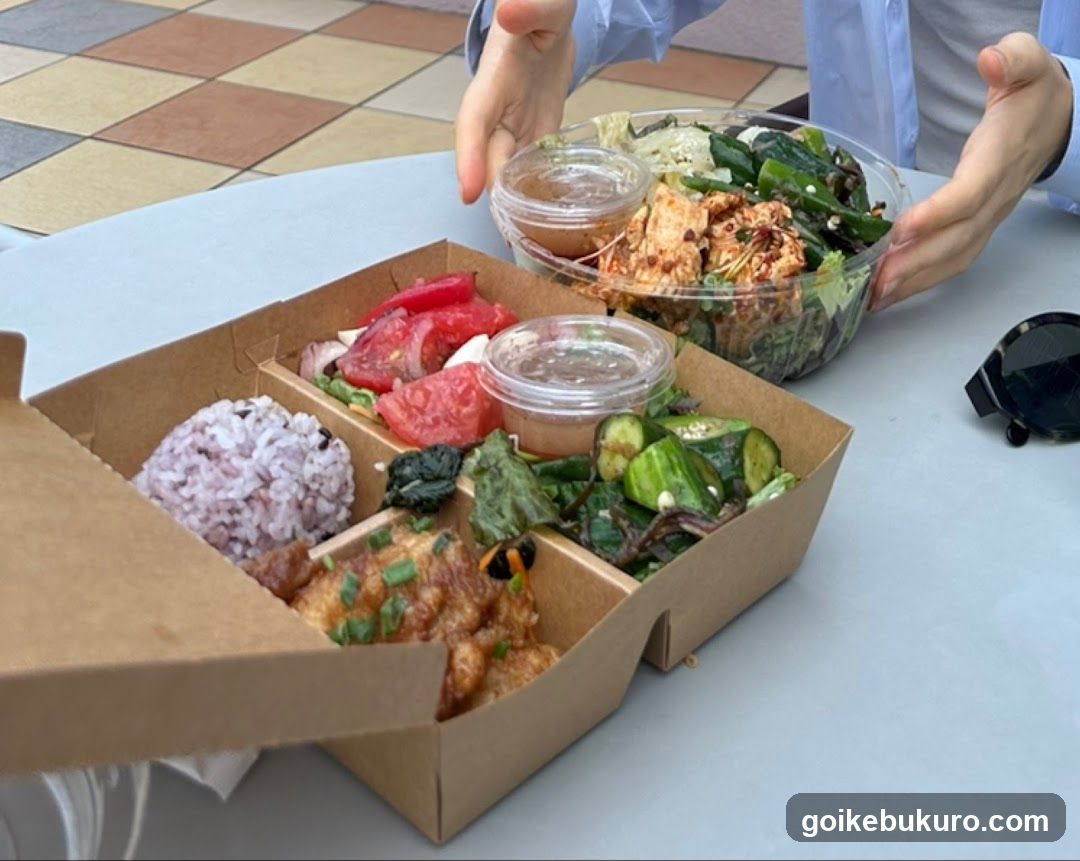 Food Delivery Boxes