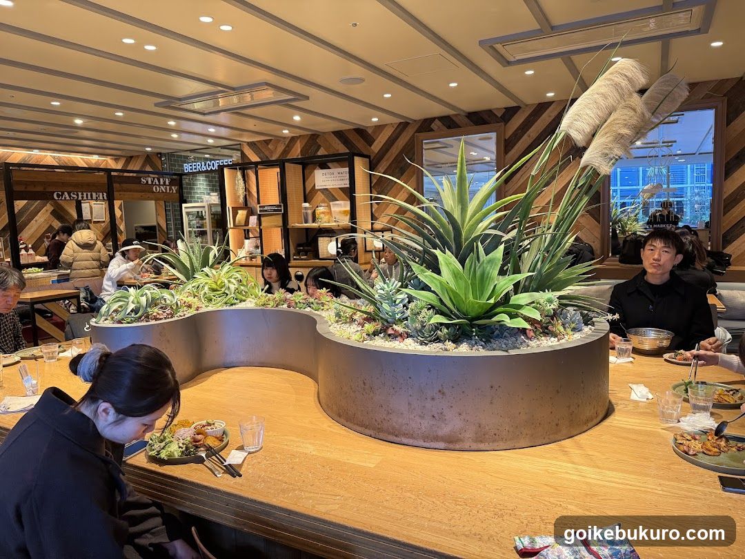 Restaurant Interior with Succulent Display
