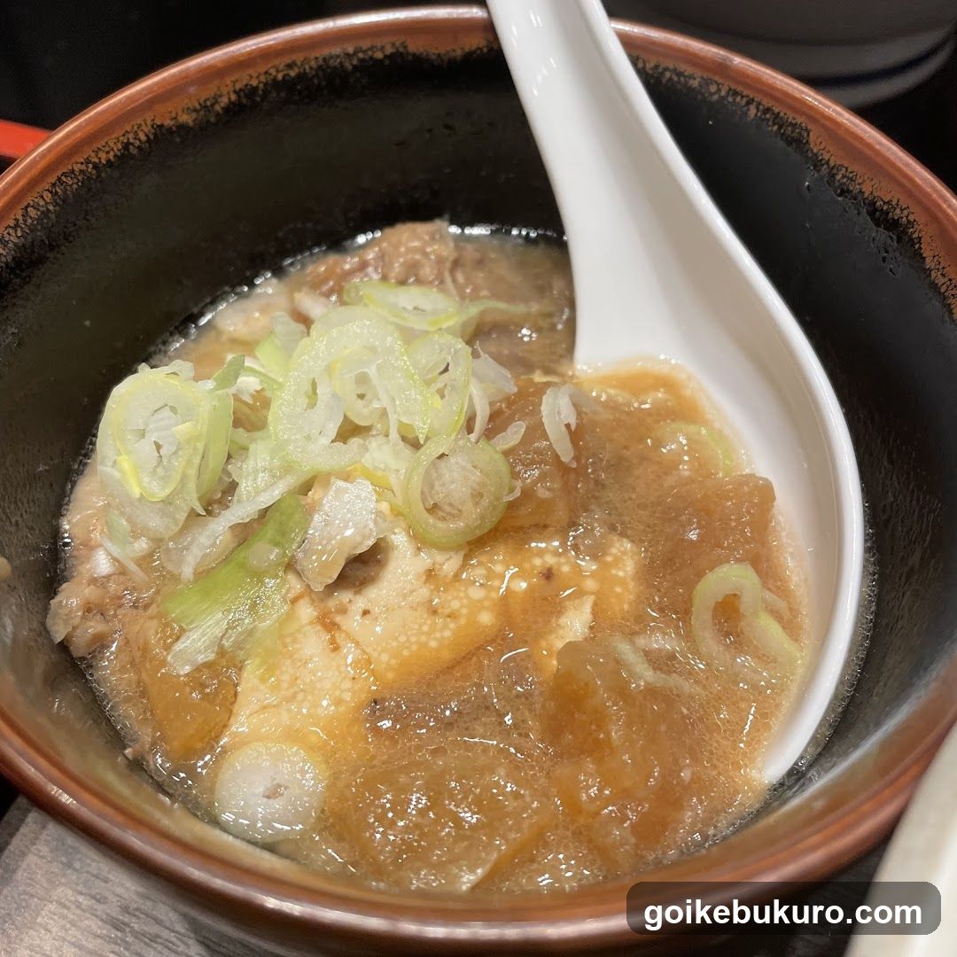 Soup Bowl with Scallions and Meat