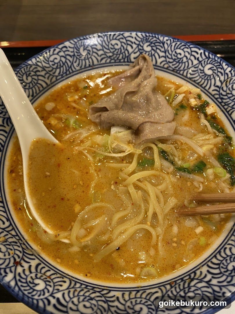 Ramen Bowl with Broth and Tofu Skin