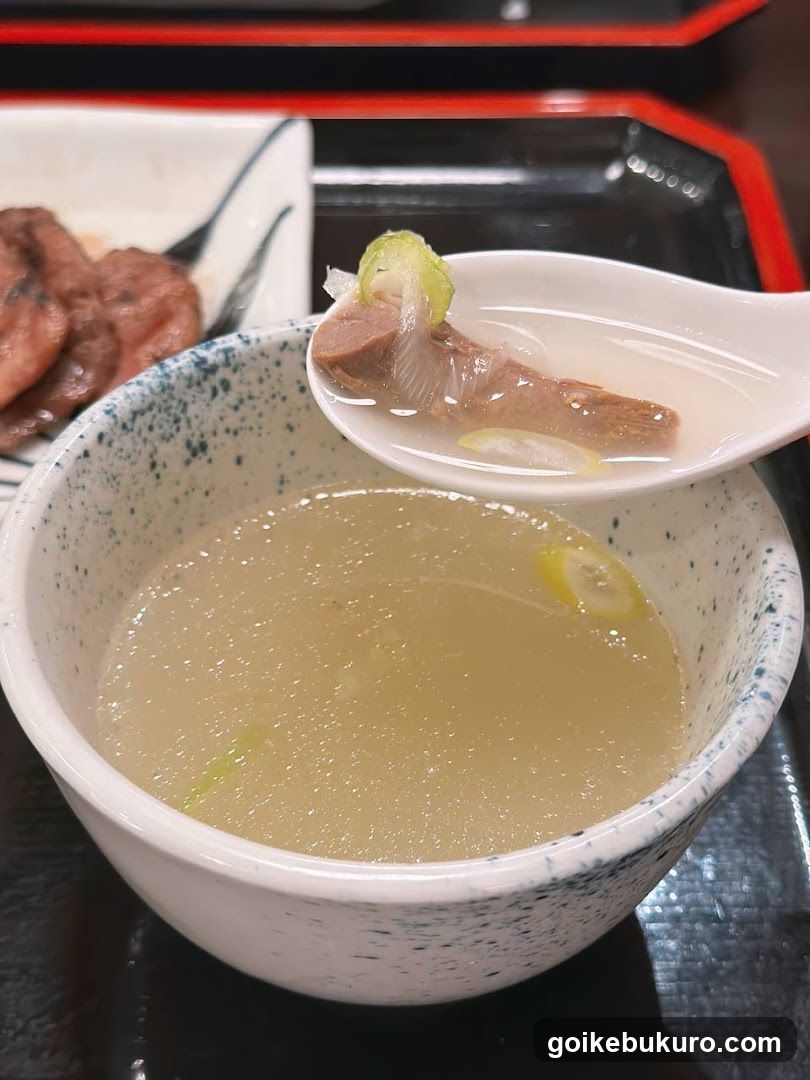 Japanese Soup Bowl with Meat and Scallion