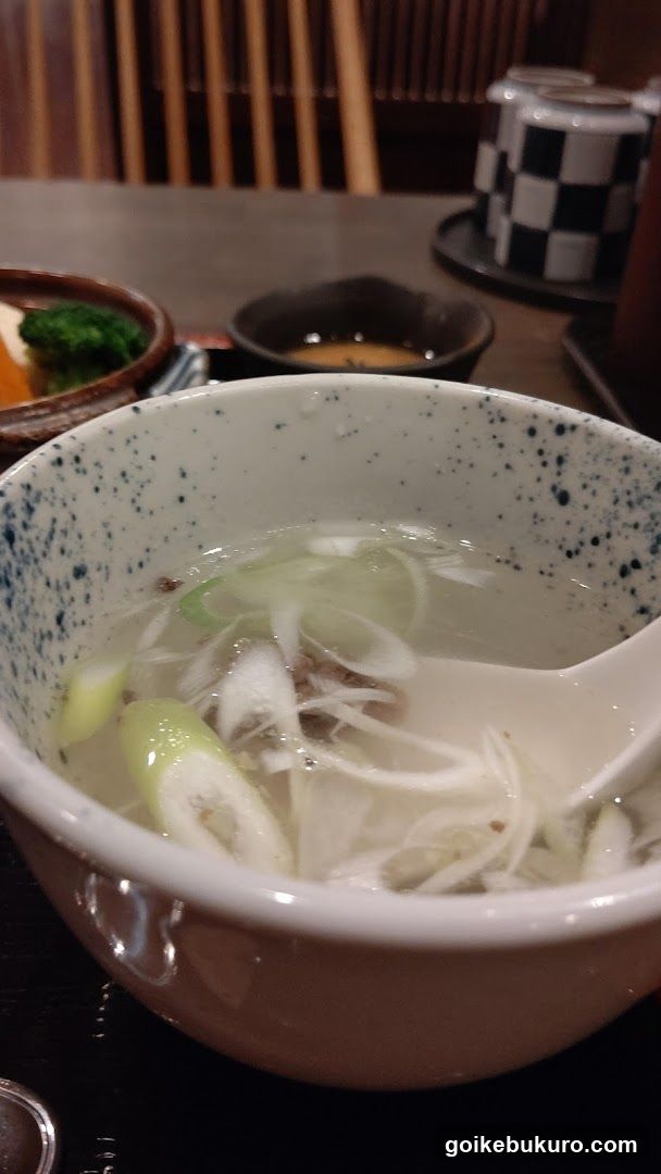 Bowl of Soup with Scallions