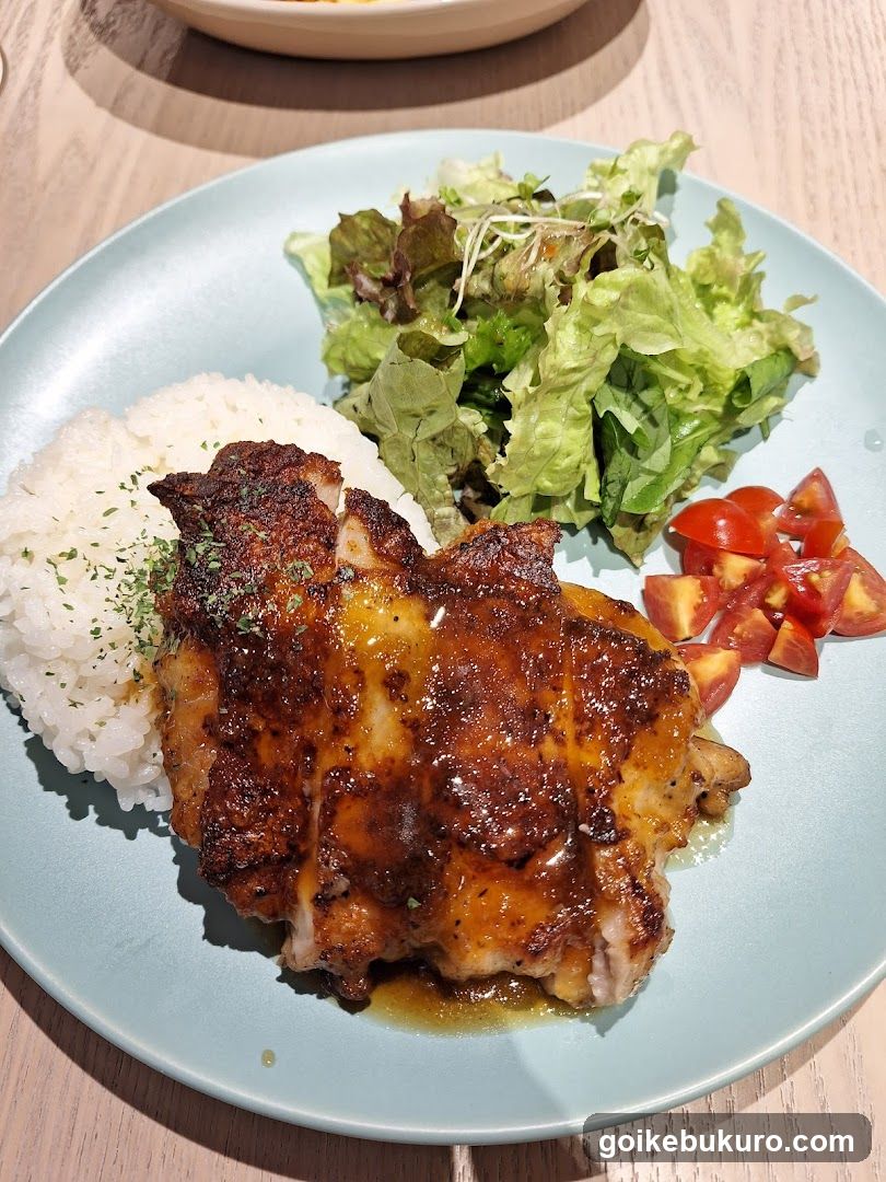 Grilled Chicken with Rice and Salad