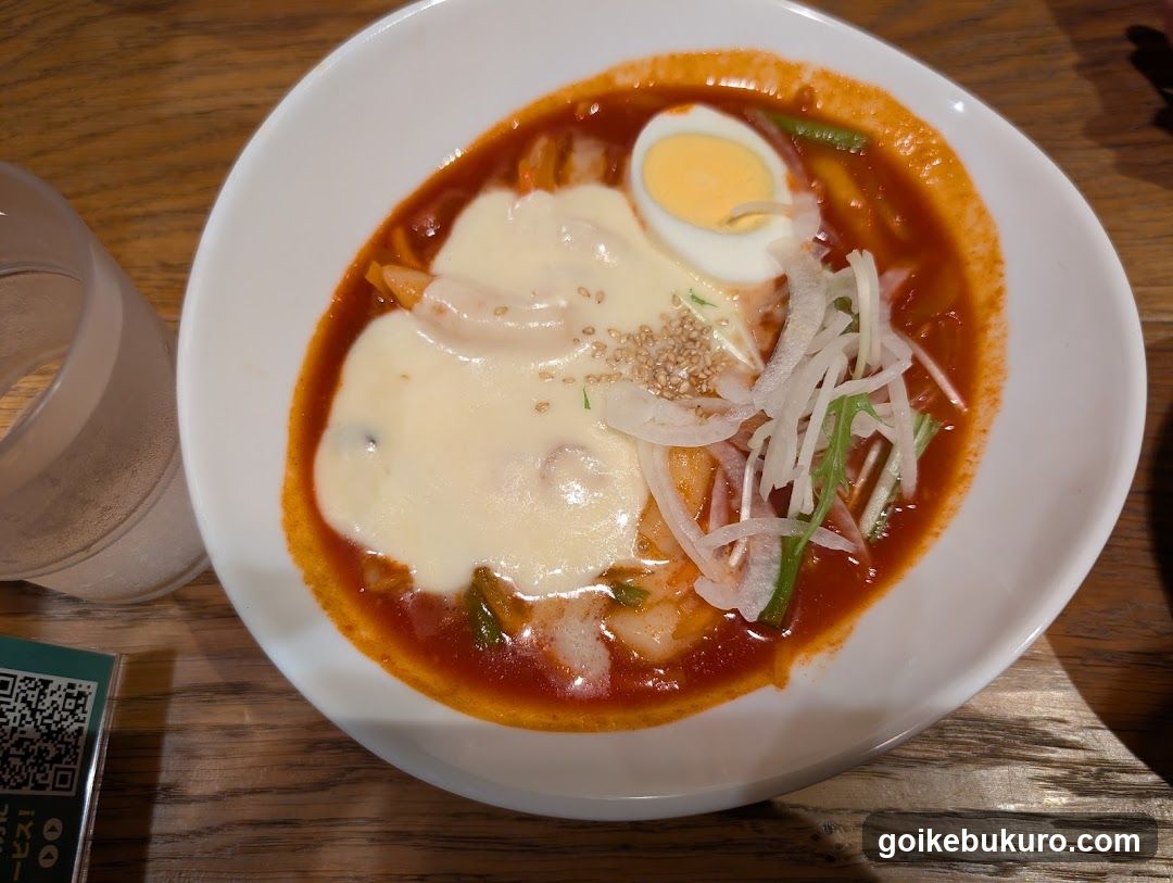 Bowl of spicy noodle soup with toppings