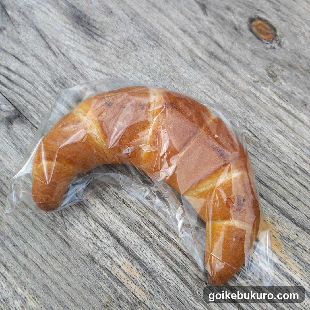 Cinnamon Roll in Plastic Wrap