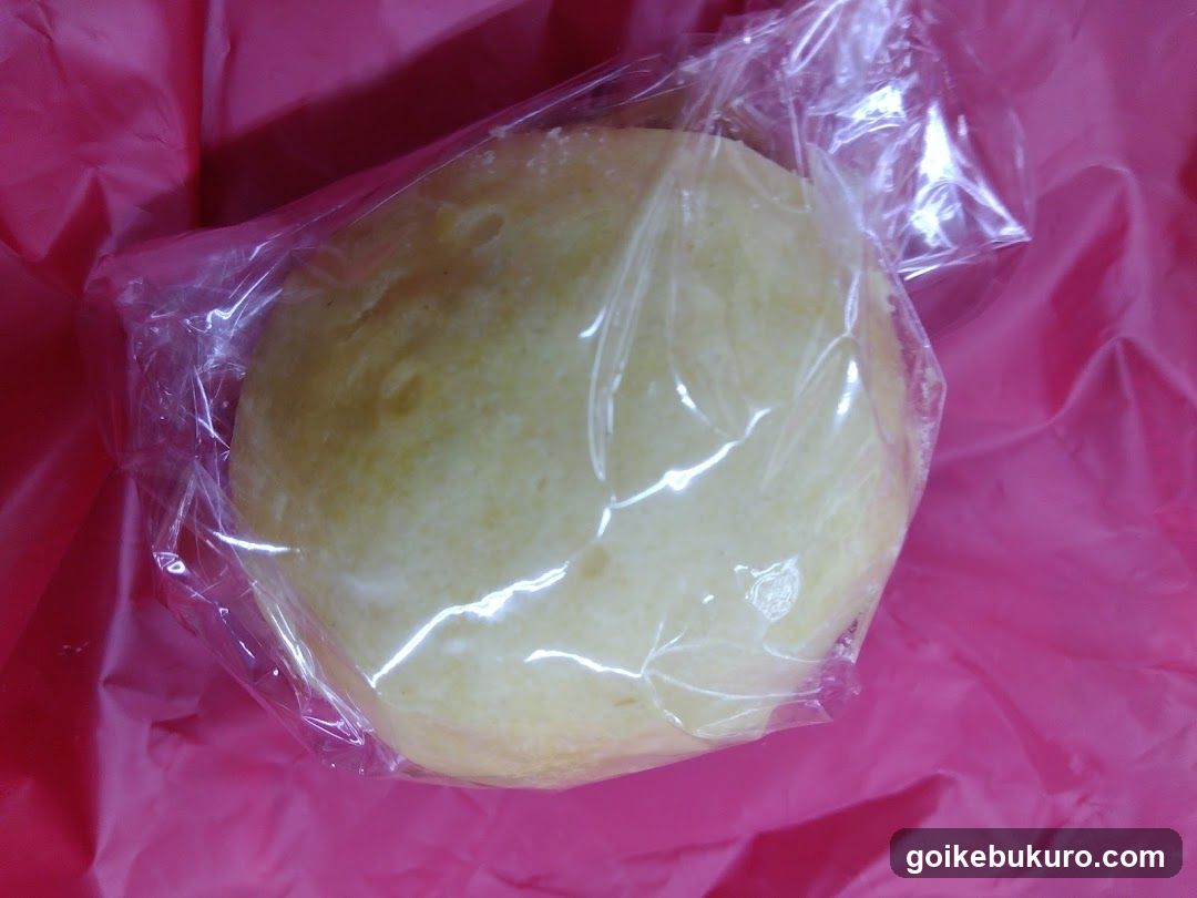 Wrapped Food Item