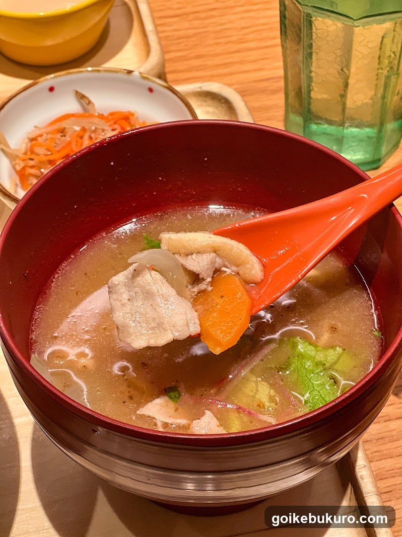 Soup Bowl with Meat and Vegetables