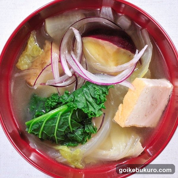 Red Bowl of Soup with Vegetables and Meat