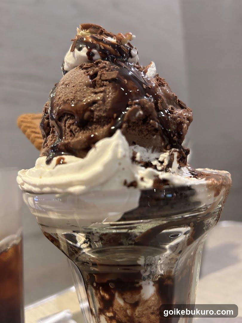 Chocolate Ice Cream Sundae