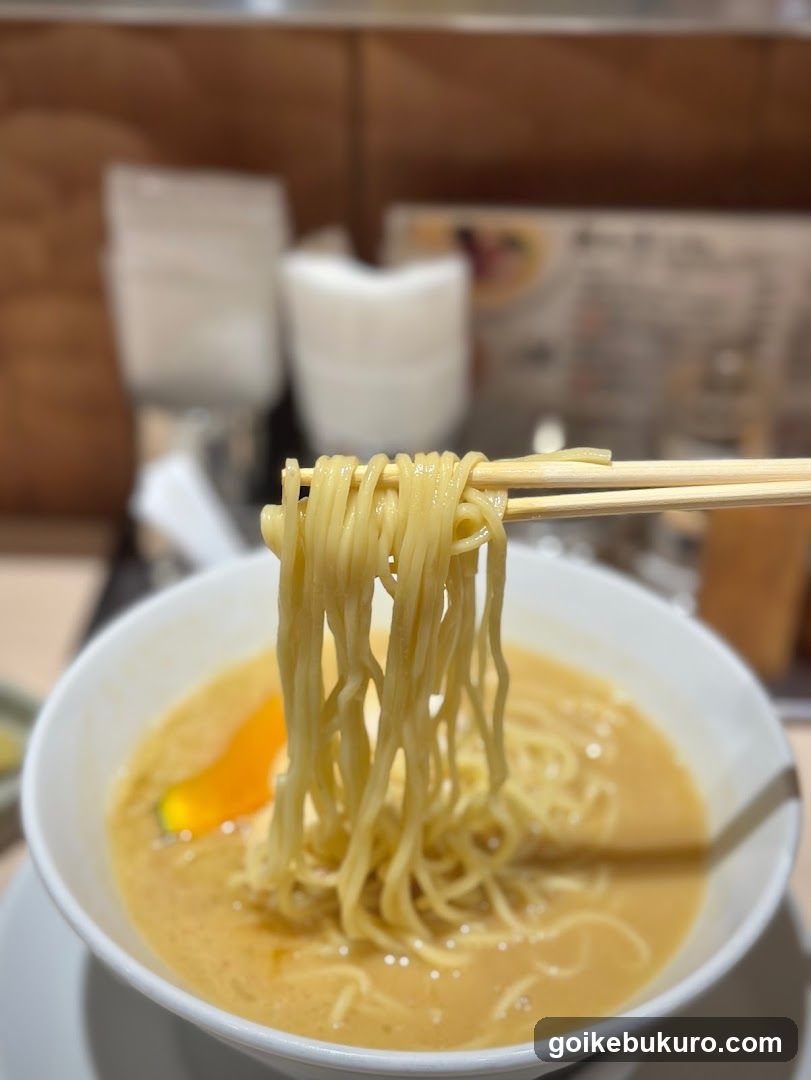 Noodle Bowl with Chopsticks