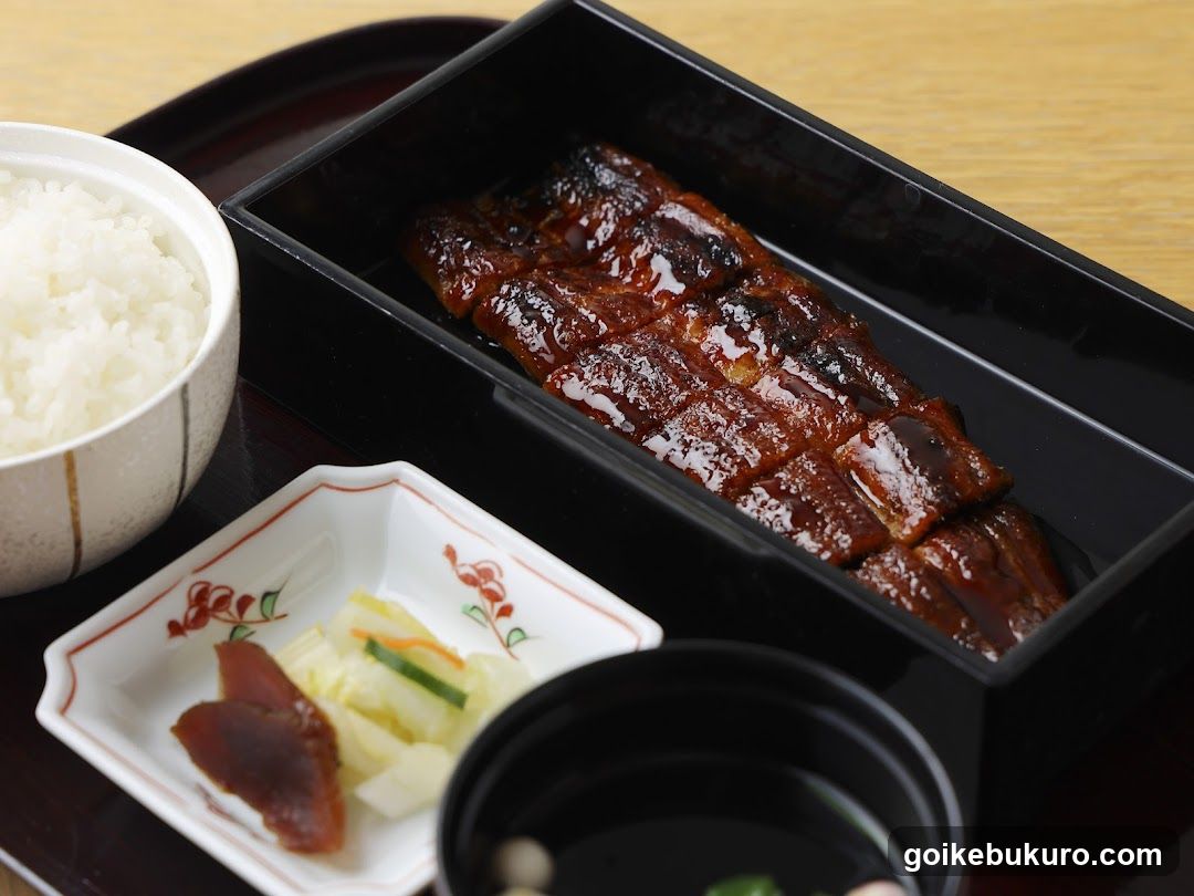 Eel Bento Meal