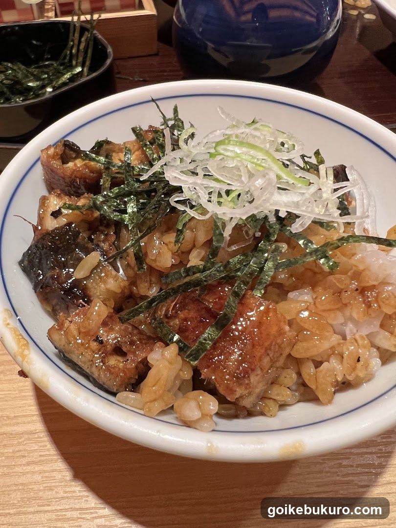Eel Rice Bowl with Toppings