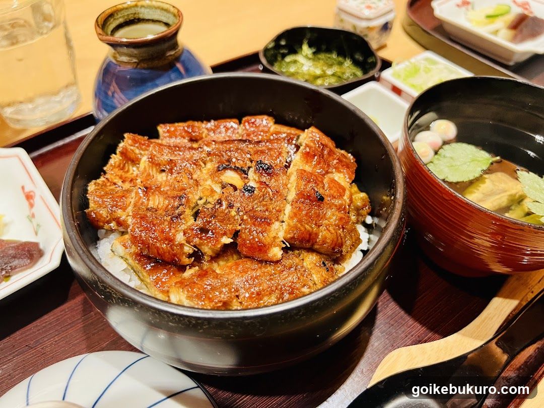 Eel Rice Bowl Meal