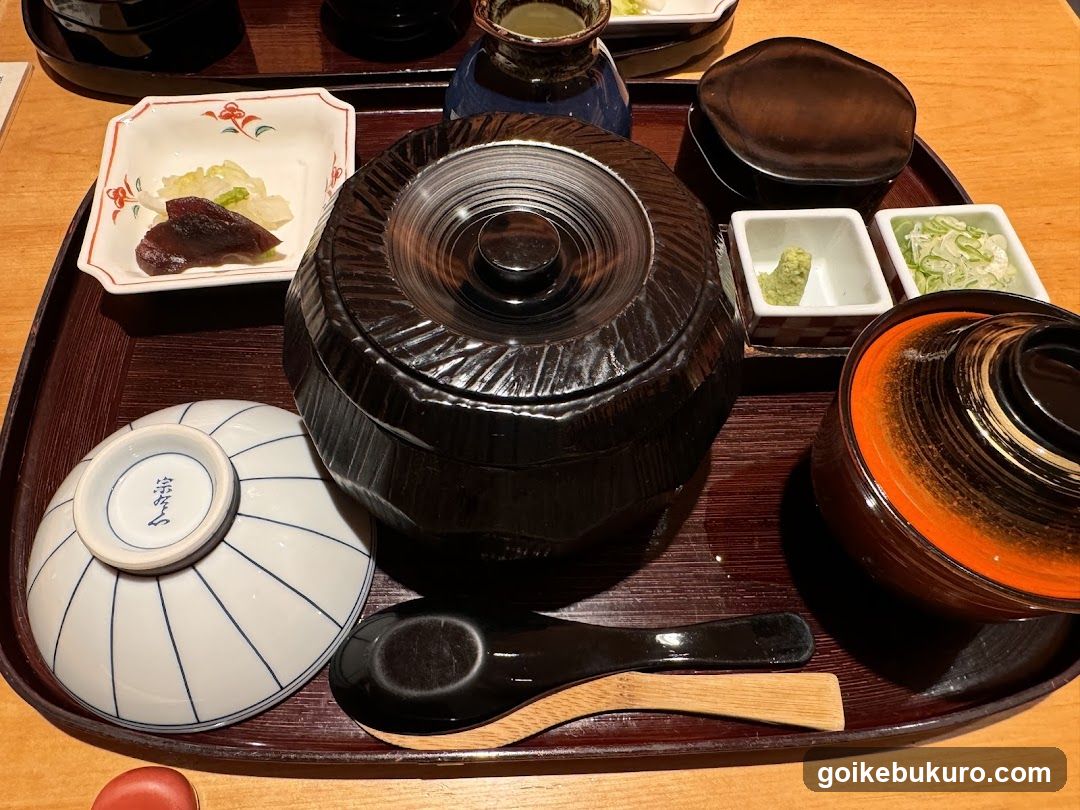 Japanese Meal Tray