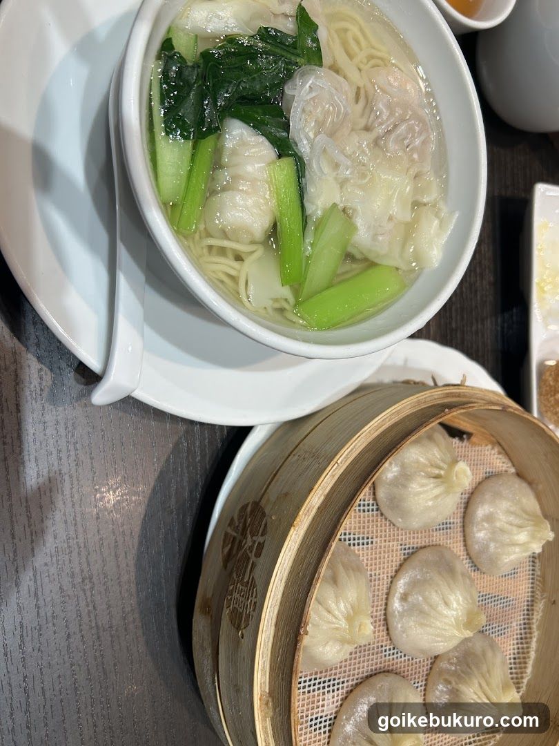 Dumpling and Noodle Bowl