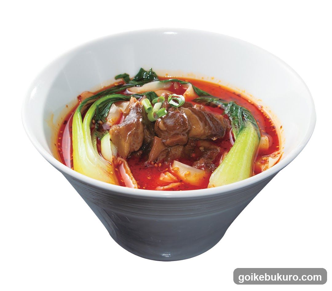 Spicy Beef and Vegetable Soup Bowl