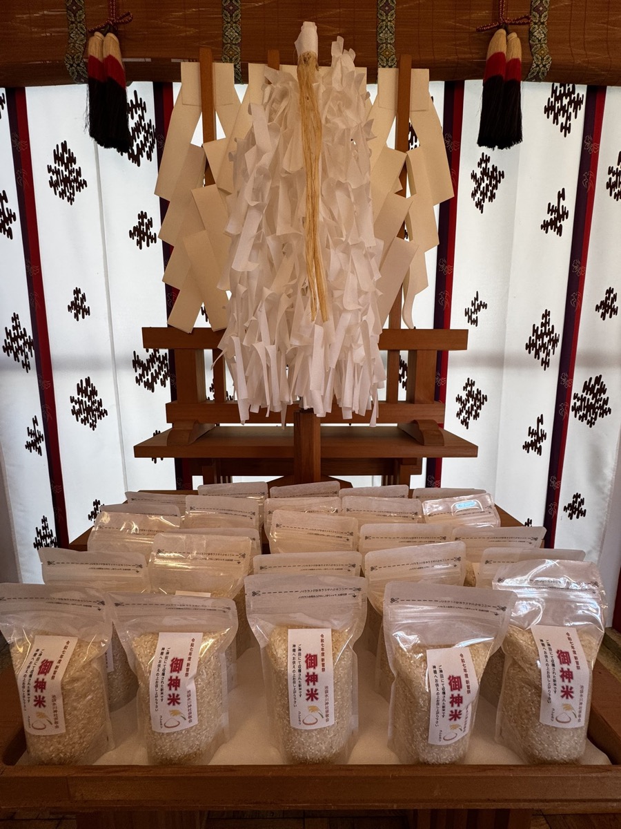 Ikebukuro Hikawa Shrine Gantan-sai