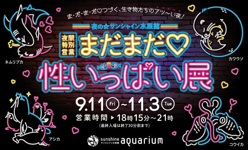 Sunshine Aquarium night programme still