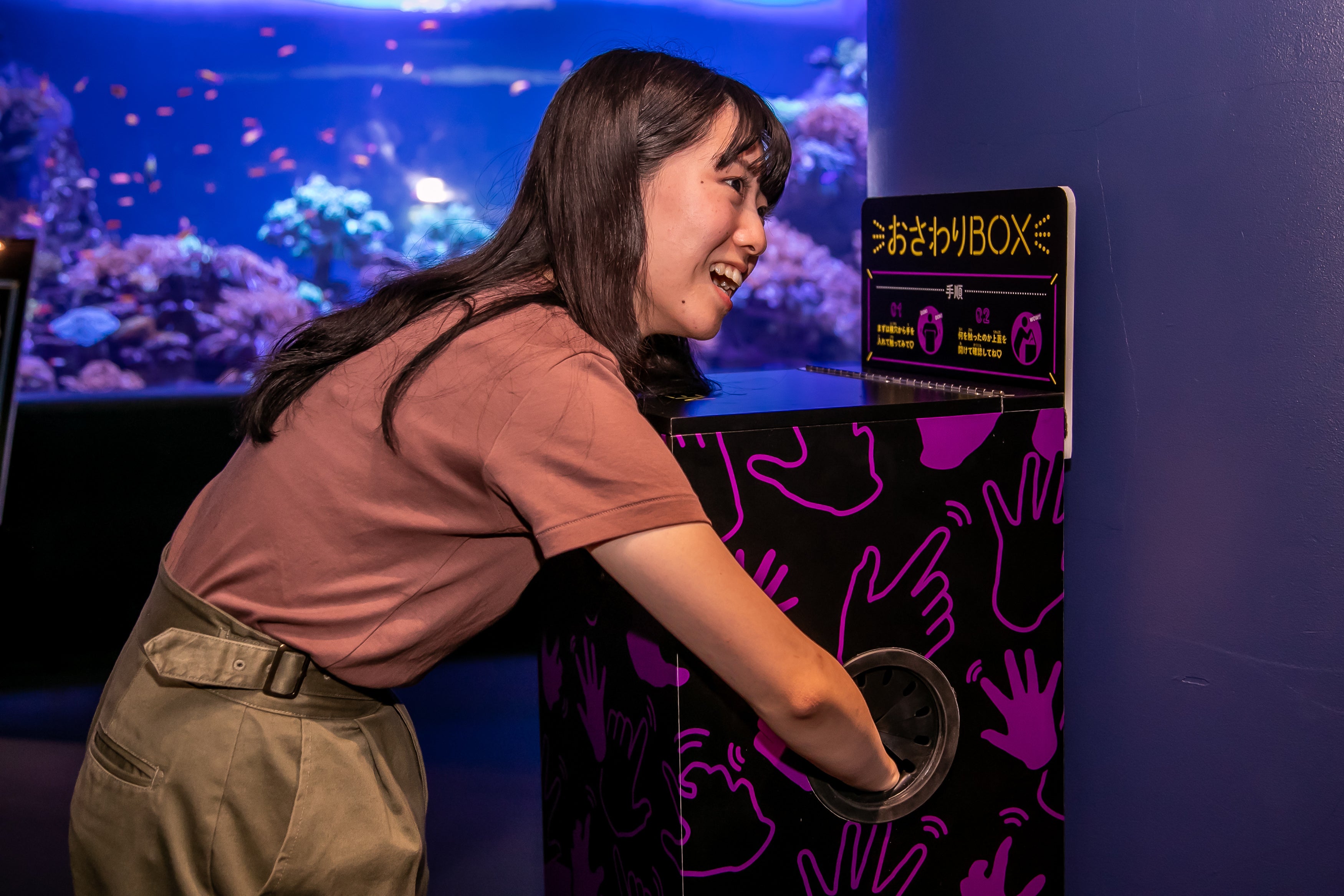 Sunshine Aquarium Night Special: Sei-ippai Exhibition 2026