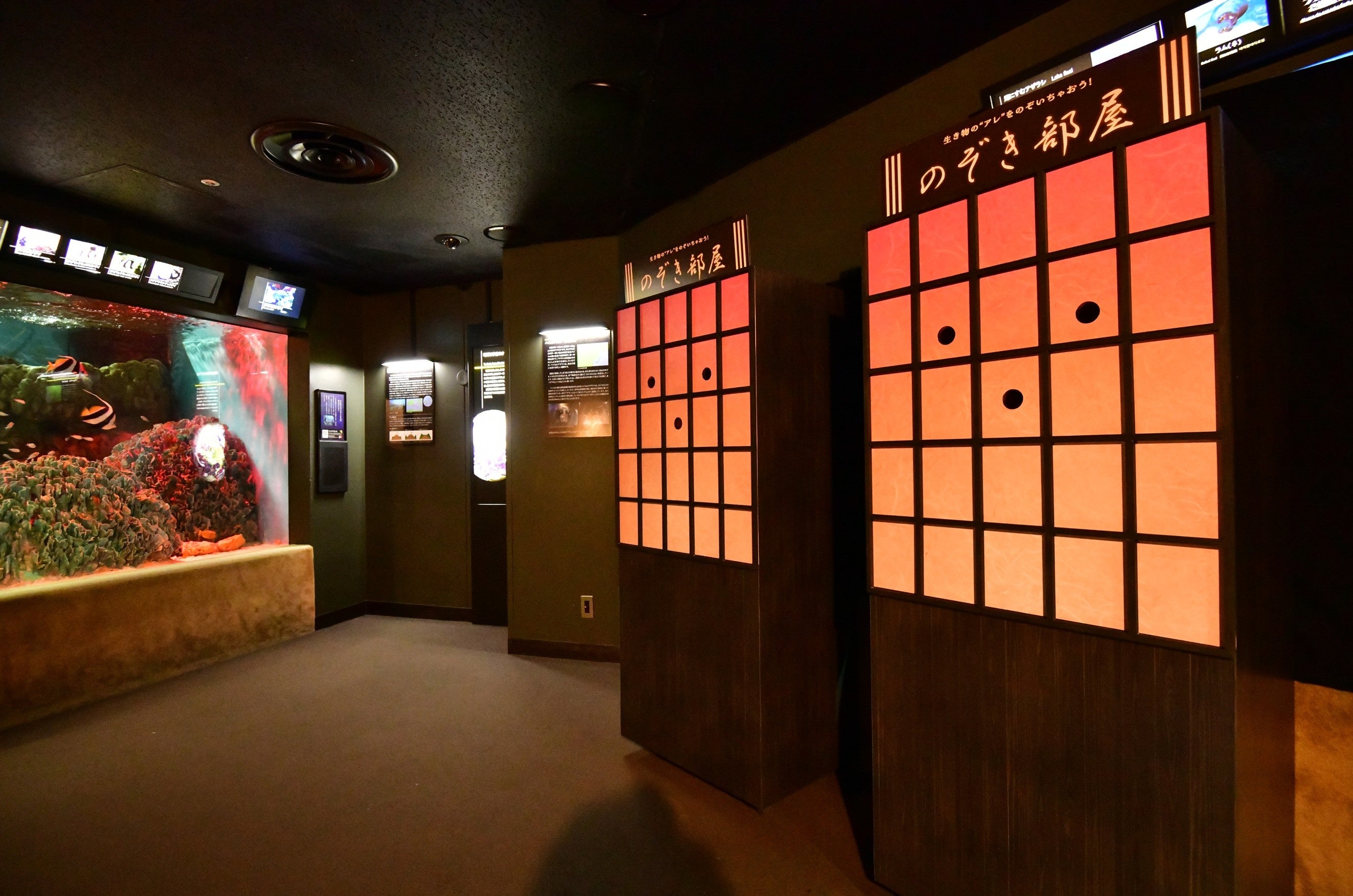 Peek-box exhibit from 2024 edition