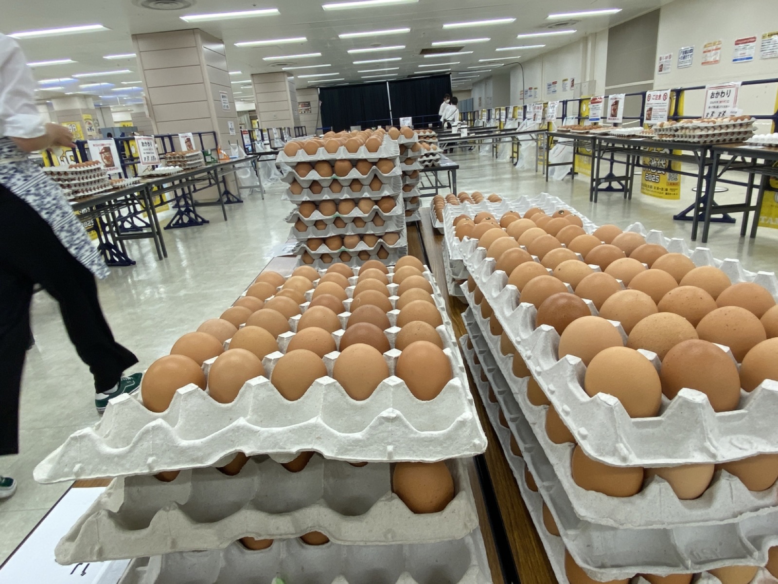 TKG buffet bowls at Tamago Fes