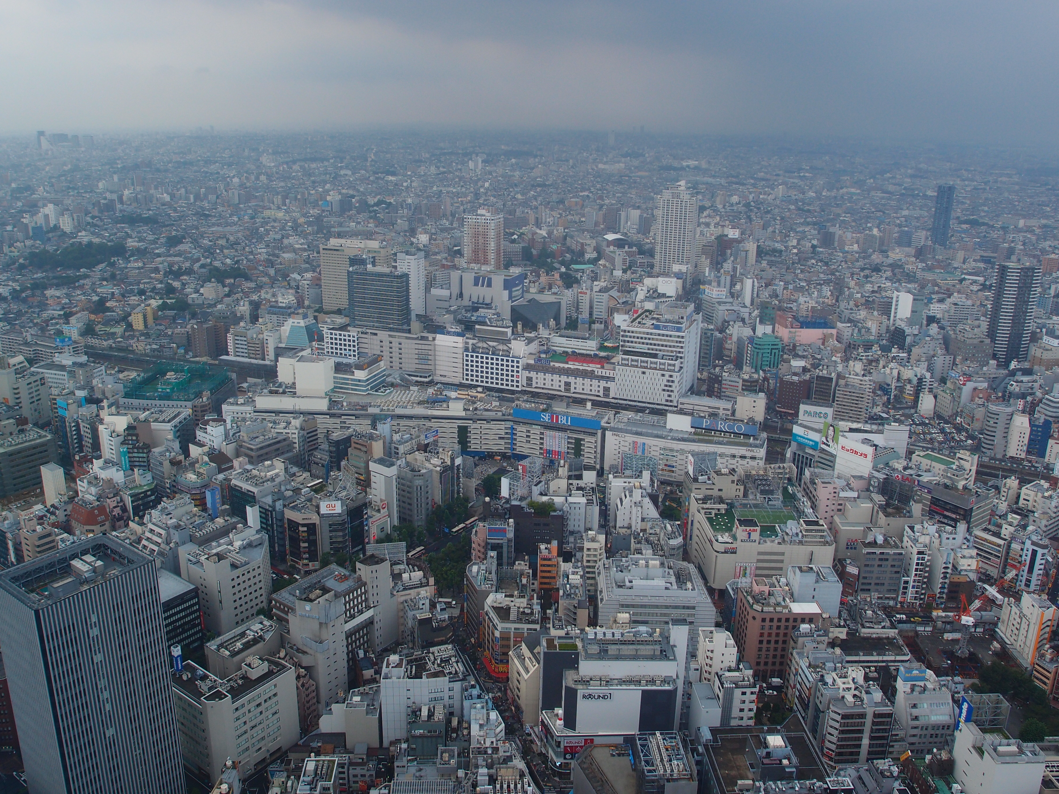 Sunshine 60 Tenbou Park Summer Scenery 2026: 550 Sunflowers 251 Meters Above Ikebukuro
