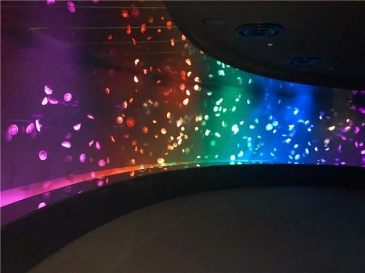 Jellyfish zone Kurage Kuukan special light and sound performance at Sunshine Aquarium night event Ikebukuro