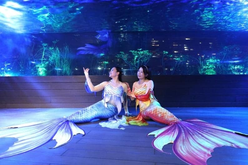 Mermaid show at the Sky Penguin tank during the Tsukuyomi Aquarium night event at Sunshine Aquarium Ikebukuro